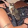 person, cat, sleeping, tabby_cat, bed, blanket, tattoo, arm, resting, cozy, indoors, pillow, relaxing, fur, face, hand, sleeve, comfort, nap, night