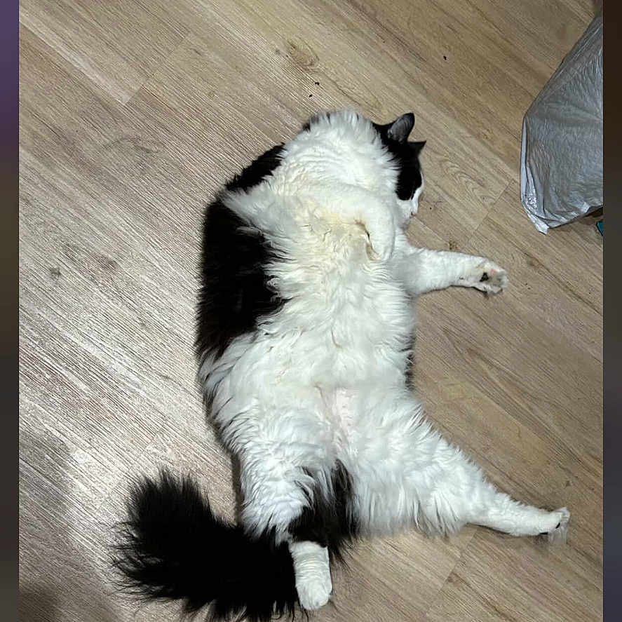 Ben