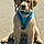 Hudson
