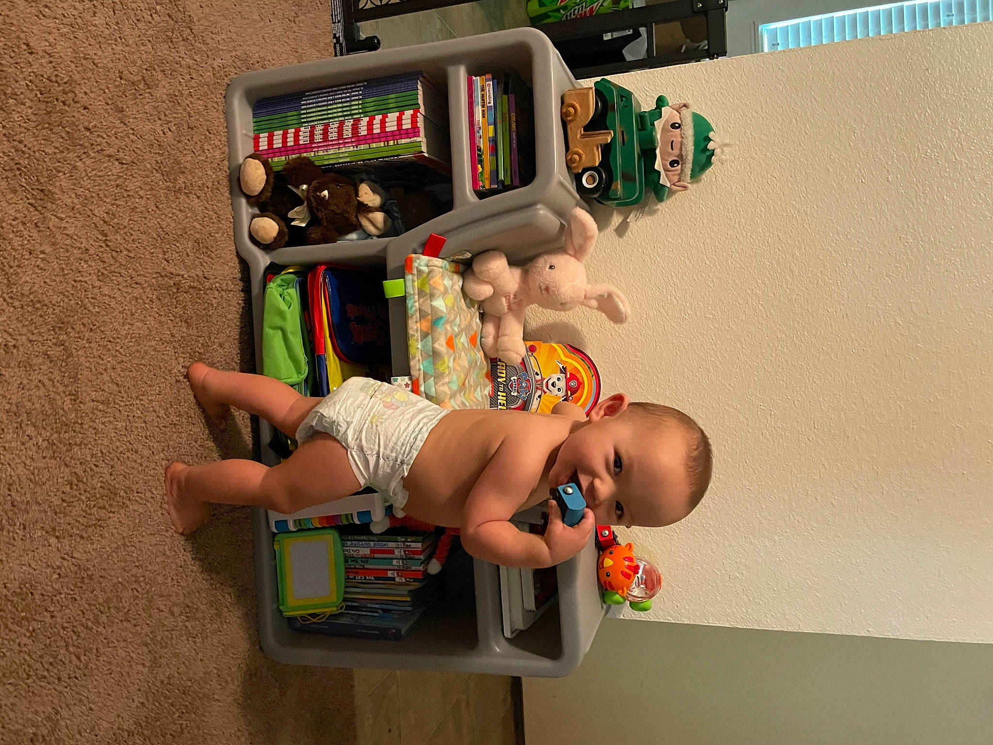 Curtis joined the competition — help win amazing prizes! animation, baby, baby_products, baby_toddler_clothing, baby_toys, child, electronic_device, fun, gadget, happy, machine, motor_vehicle, office_equipment, person, plastic, play, recreation, room, toddler, toy