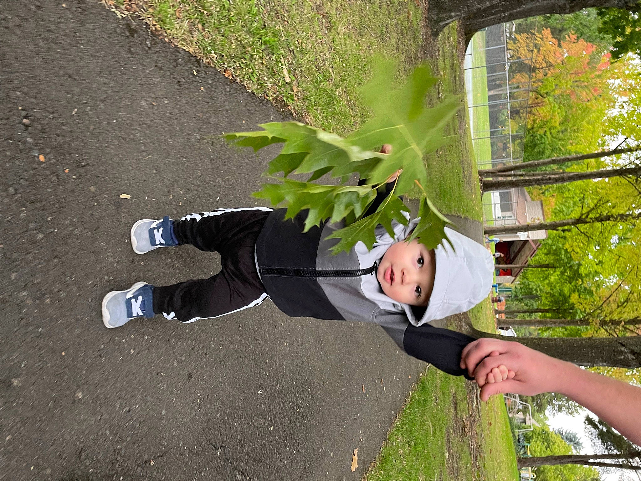 Curtis joined the competition — help win amazing prizes! asphalt, fun, garden, grass, hat, headwear, leisure, people_in_nature, person, plant, recreation, road_surface, shadow, tie, tree