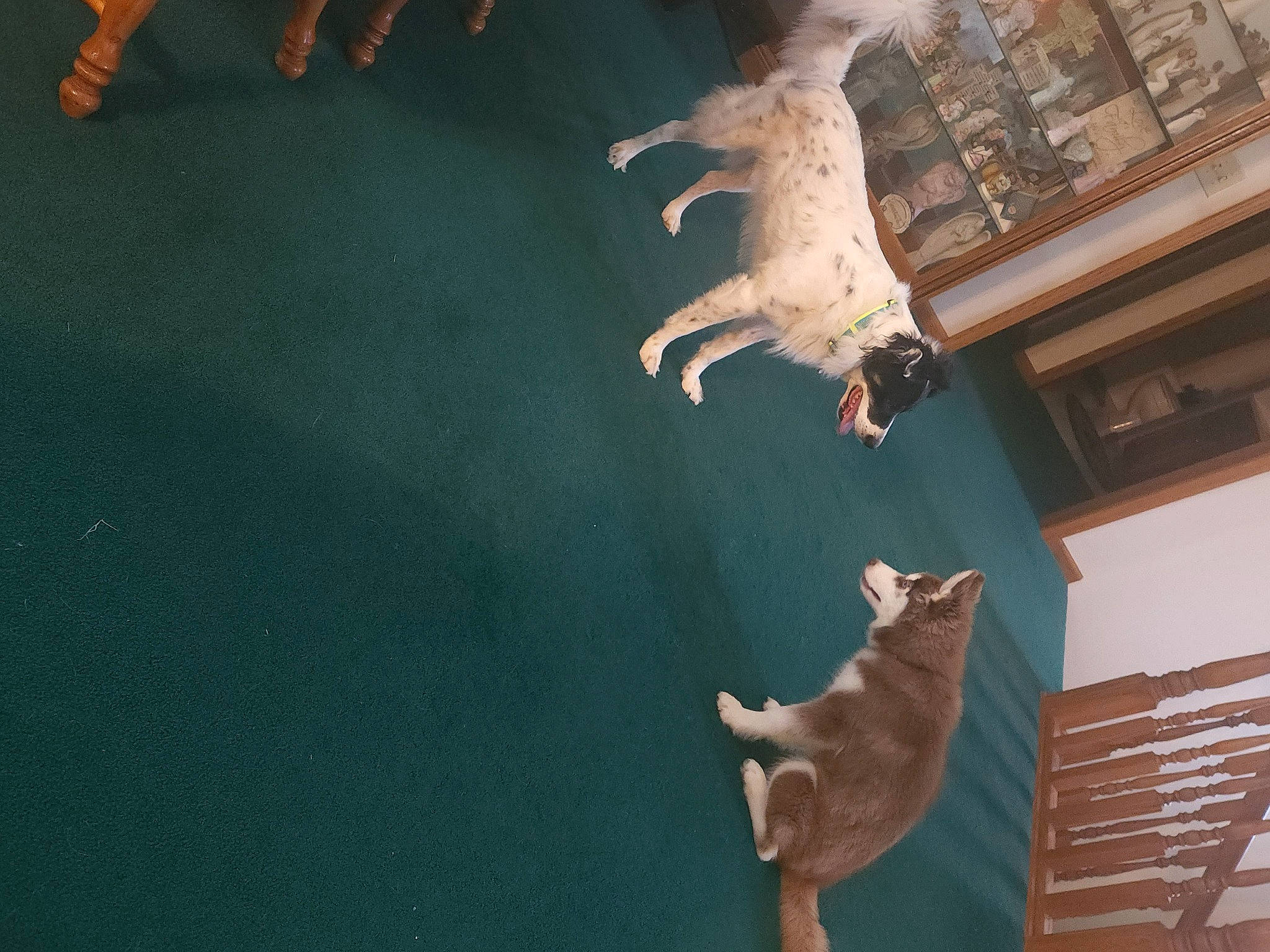 Demon joined the competition — help win amazing prizes! art, building, ceiling, facade, fawn, finger, flooring, house, organism, religious_item, room, sculpture, shadow, space, tail, visual_arts, window, wing, wood, world