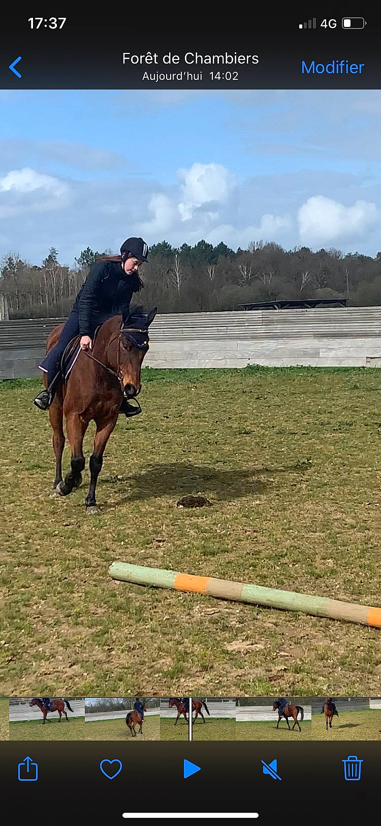 Loup Sage a rejoint le concours — aidez-le/la à gagner de superbes lots ! animal_sports, bridle, endurance_riding, english_riding, equestrian_sport, equestrianism, equitation, halter, horse, horse_supplies, horse_tack, mammal, mane, outdoor_recreation, recreation, rein, saddle, sports, stallion, trail_riding