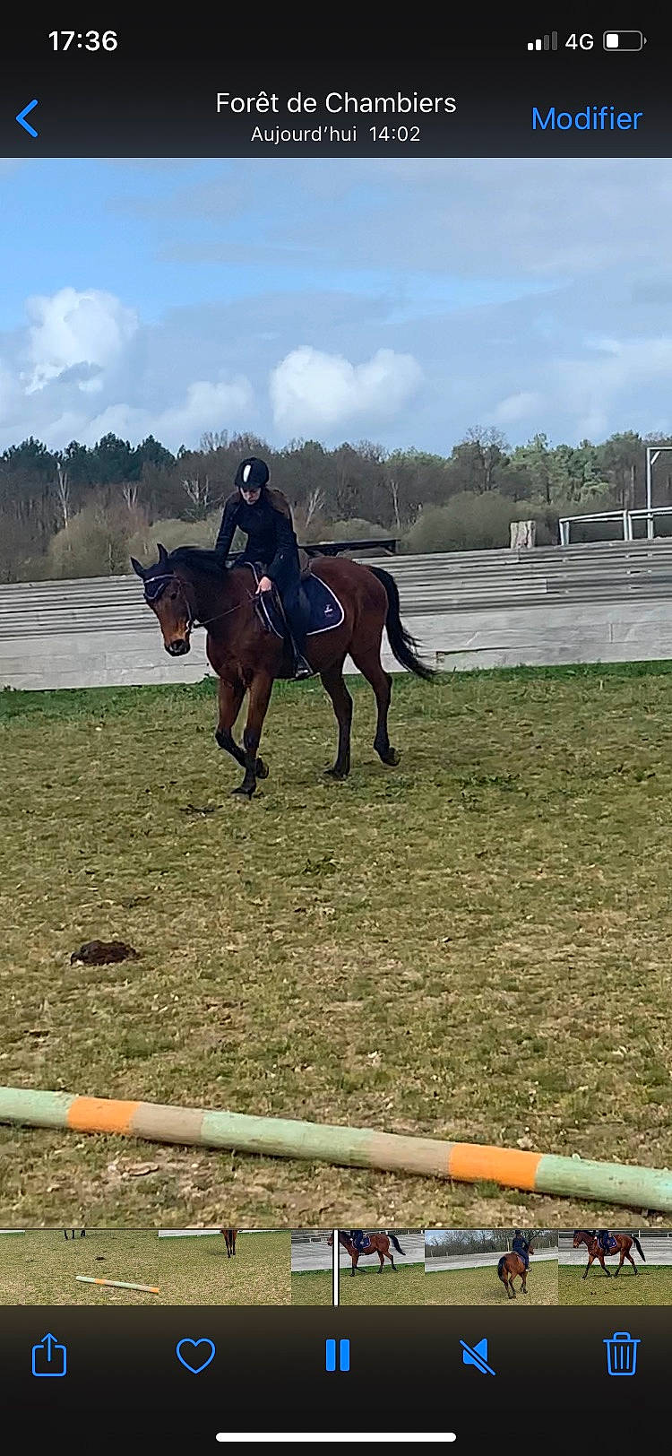 Loup Sage participe au concours pour gagner de l'argent avec cette photo : animal_sports, bridle, english_riding, equestrian, equestrian_sport, equestrianism, equitation, eventing, halter, horse, horse_supplies, horse_tack, jockey, mammal, mare, outdoor_recreation, recreation, rein, saddle, stallion