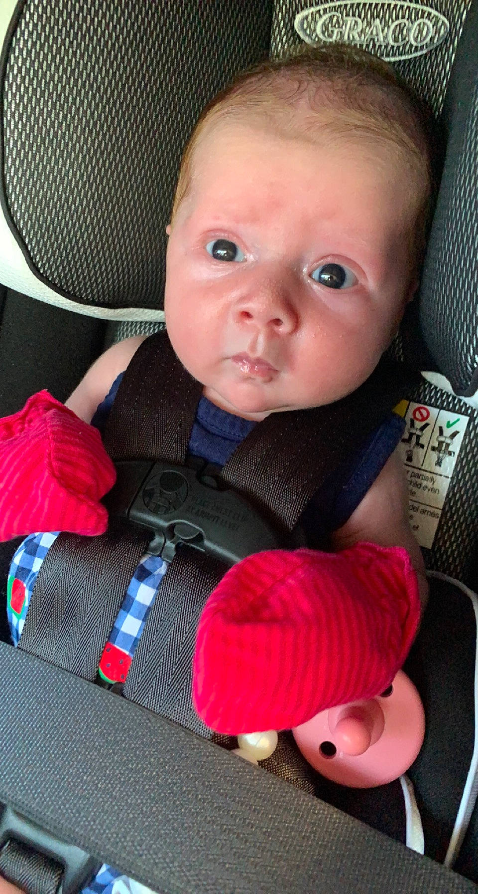 Anniston joined the competition — help win amazing prizes! baby, baby_carriage, baby_in_car_seat, baby_safety, baby_toddler_clothing, car_seat, cheek, comfort, face, finger, head, iris, mouth, nose, organ, person, pink, product, seat_belt, skin