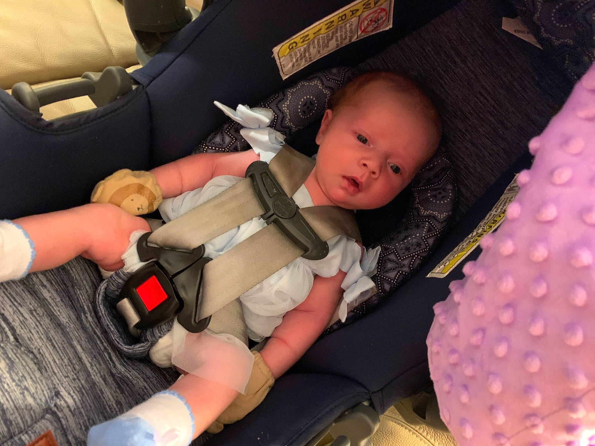 Anniston is registered to the contest to win money with this photo: auto_part, baby, baby_carriage, baby_products, baby_toddler_clothing, car_seat, child, comfort, finger, knee, lap, nail, people, person, product, seat_belt, skin, thigh, thumb, toddler