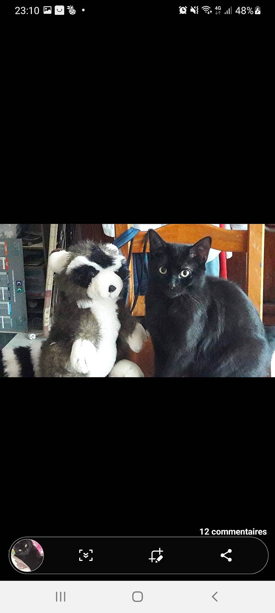 Mogwai a rejoint le concours — aidez-le/la à gagner de superbes lots ! art, black_cat, bombay, canidae, carnivore, cat, comfort, darkness, domestic_short_haired_cat, felidae, fur, grey, mammal, pattern, photo_caption, small_to_medium_sized_cats, snout, tail, vertebrate, whiskers