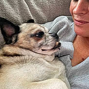 Alfie Moo joined the competition — help win amazing prizes! dog, woman, couch, indoor, pet, smile, face, fur, snuggle, relax, cozy, texture, closeup, casual, comfort, apparel, expression, laying, human, friendship