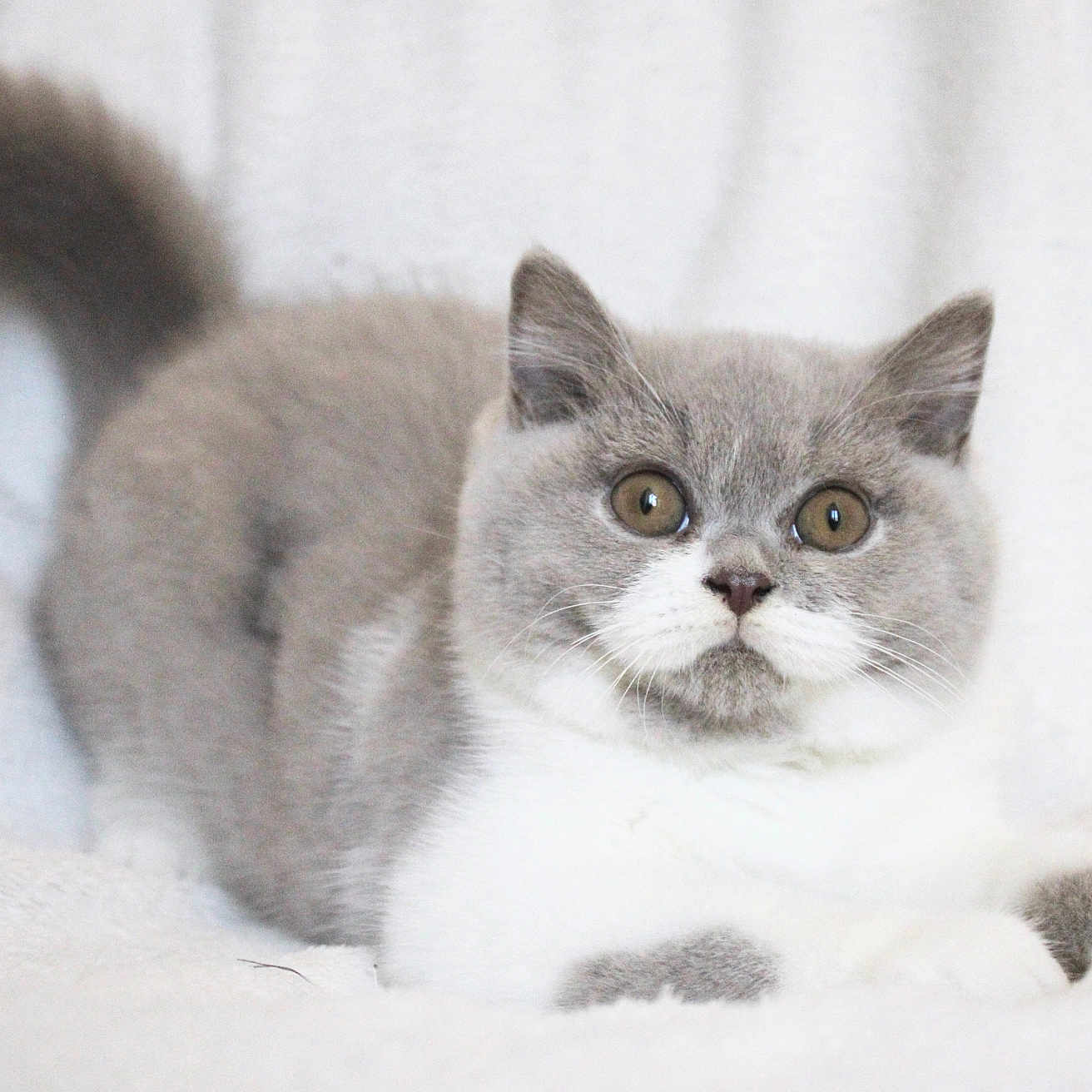Miss Beatrice