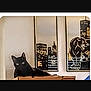 Ween is registered to the contest to win money with this photo: alert_eyes, animal, black_cat, cardboard_box, cat, cityscape, domestic, feline, framed_pictures, home_decor, indoor, living_space, modern_art, panther_art, pet, quiet, relaxed, still_life, urban_theme, wall_art