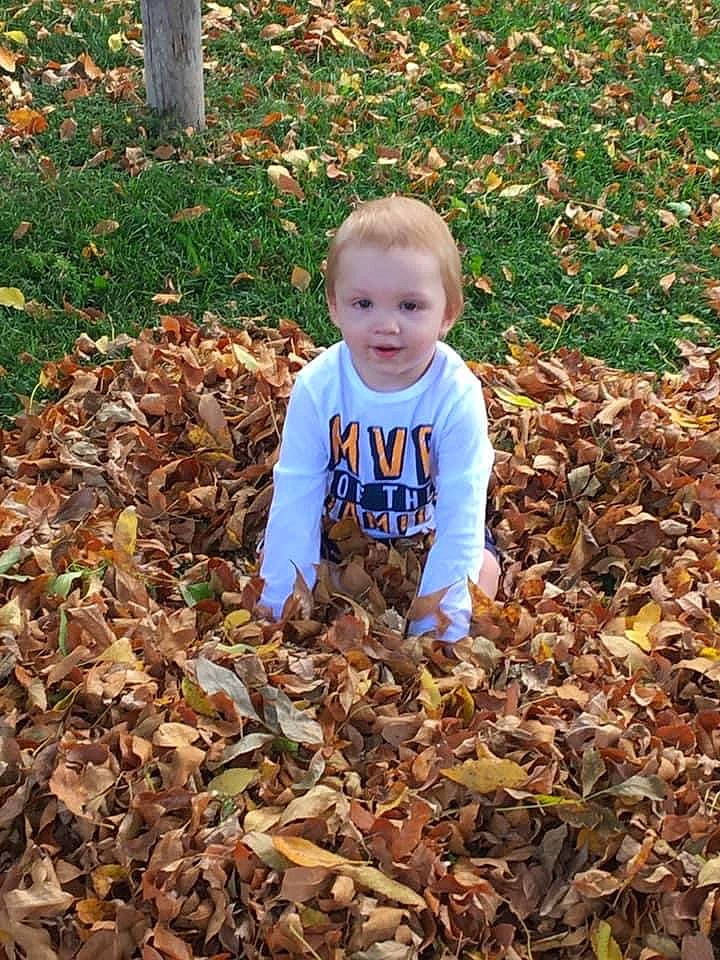 Jasper joined the competition — help win amazing prizes! autumn, baby, baby_toddler_clothing, brown, child, deciduous, grass, groundcover, happy, leaf, natural_landscape, nature, people_in_nature, person, plant, soil, t_shirt, toddler, wood, woodland