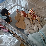 Elio a rejoint le concours — aidez-le/la à gagner de superbes lots ! newborn, baby, hospital, bassinet, blanket, plush_toy, giraffe_toy, monkey_toy, clothing, socks, person, infant, bed, sleeping, cute, soft, comfort, indoor, resting, peaceful
