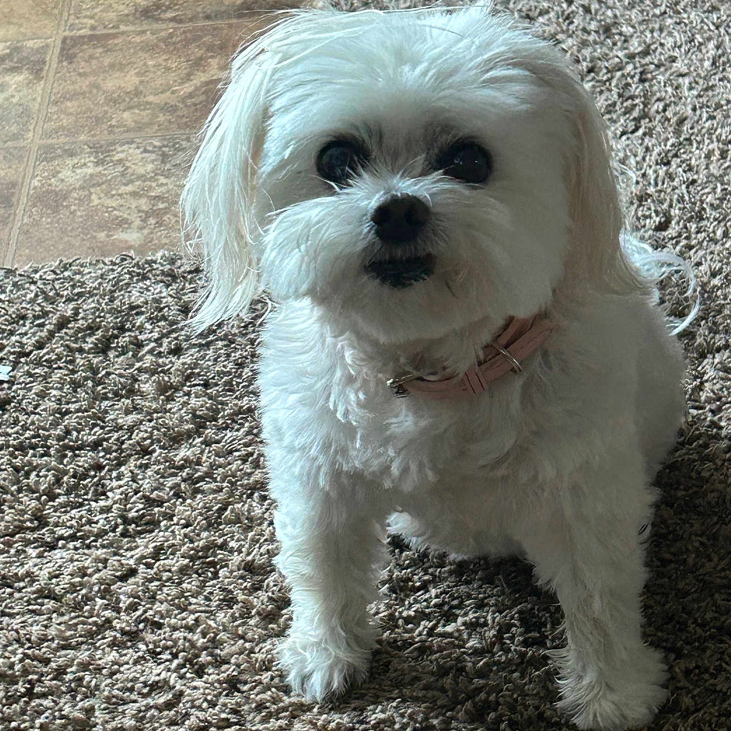 Mia