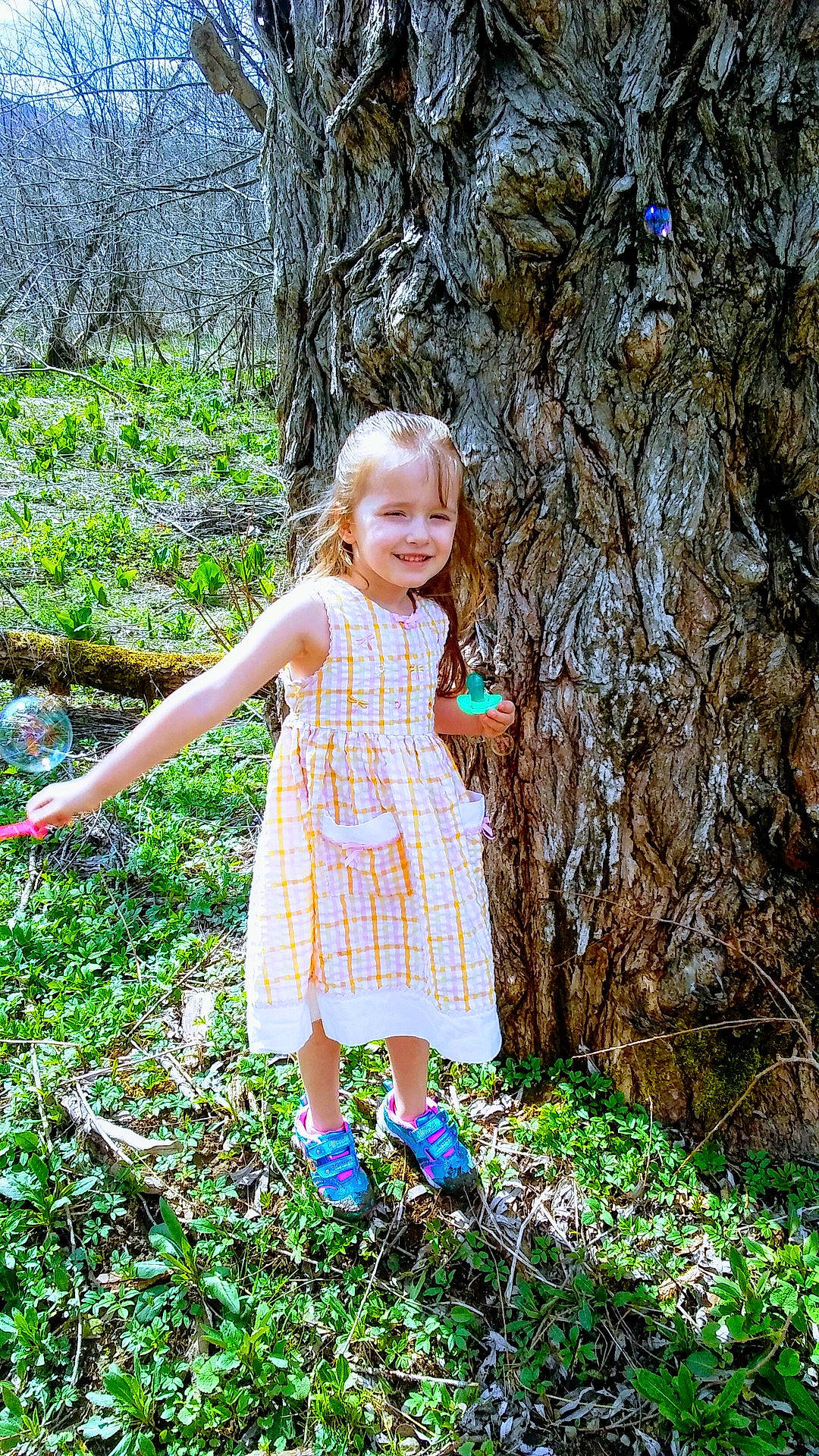 Mckaylee is registered to the contest to win money with this photo: autumn, child, dress, flower, forest, girl, grass, habitat, joy, leaf, nature, plant, season, spring, toddler, tree, woodland, woody_plant