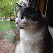 Tucker is registered to the contest to win money with this photo: