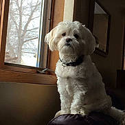 Murphy is registered to the contest to win money with this photo: