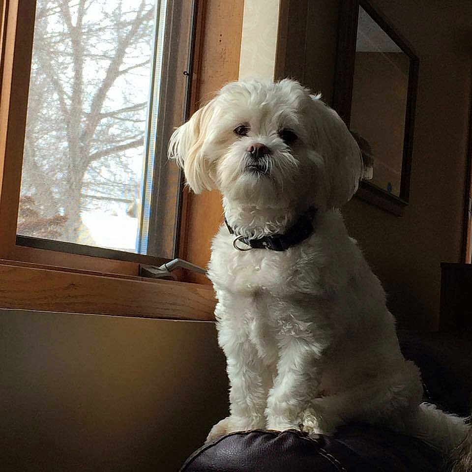 Murphy is registered to the contest to win money with this photo: