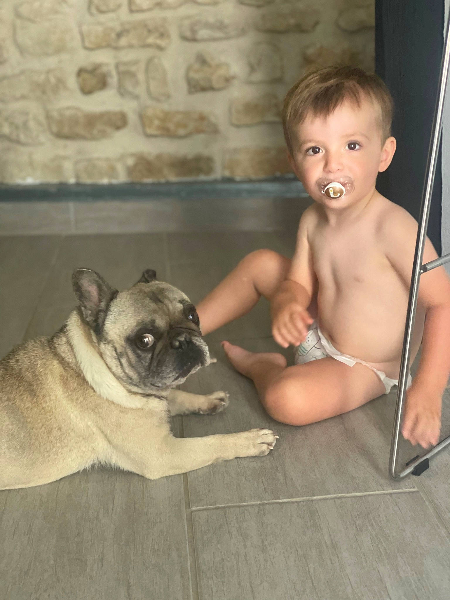 Léo participe au concours pour gagner de l'argent avec cette photo : carnivore, chest, comfort, companion_dog, dog, dog_breed, fawn, flooring, foot, happy, human_leg, person, pug, sitting, skin, snout, sporting_group, thigh, toddler, toy_dog