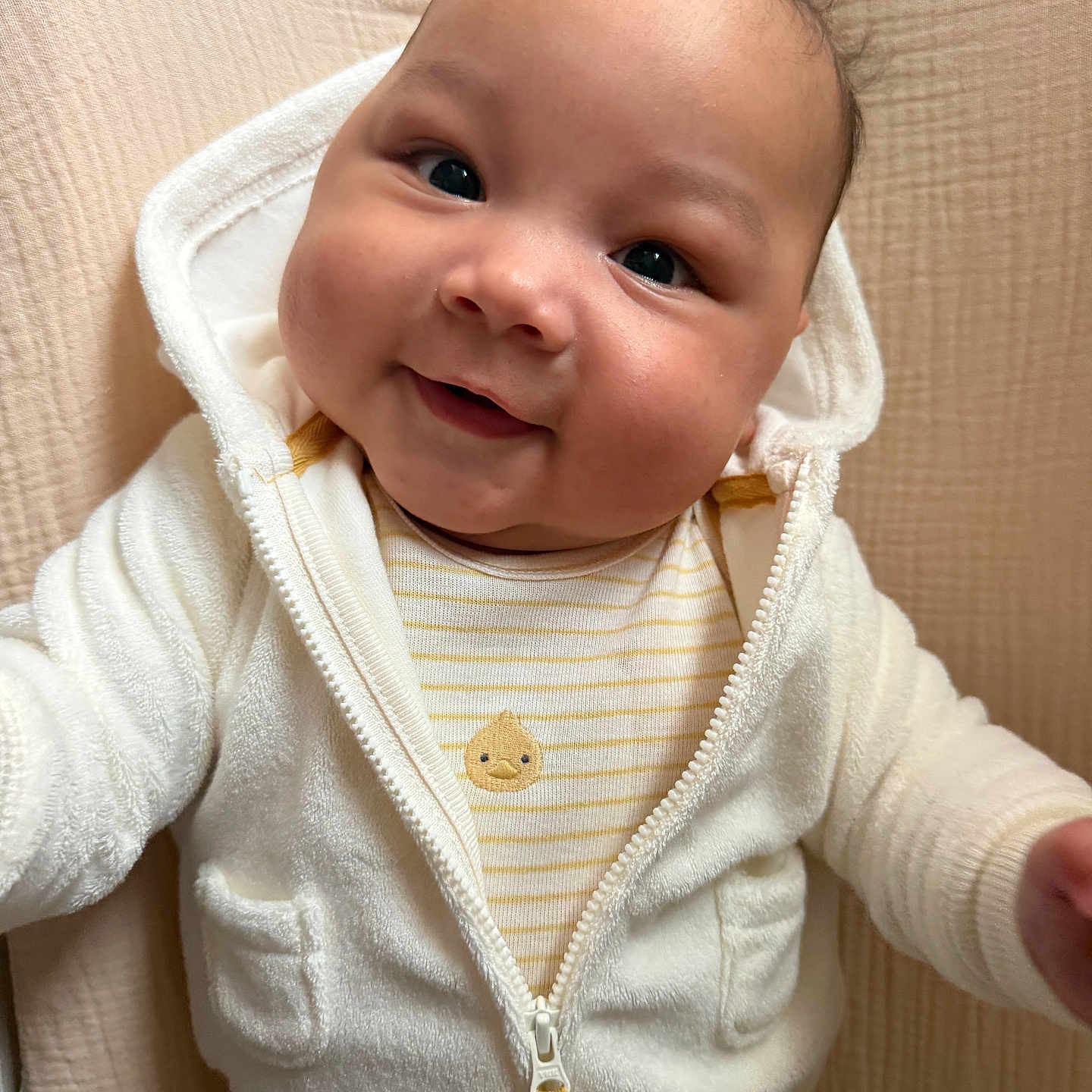 Maveriq joined the competition — help win amazing prizes! adorable, baby, baby_clothes, cheeks, child, closeup, curly_hair, cute, eyes, face, happy, indoors, infant, portrait, smiling, soft_texture, striped_shirt, warm, white_hoodie, zipper
