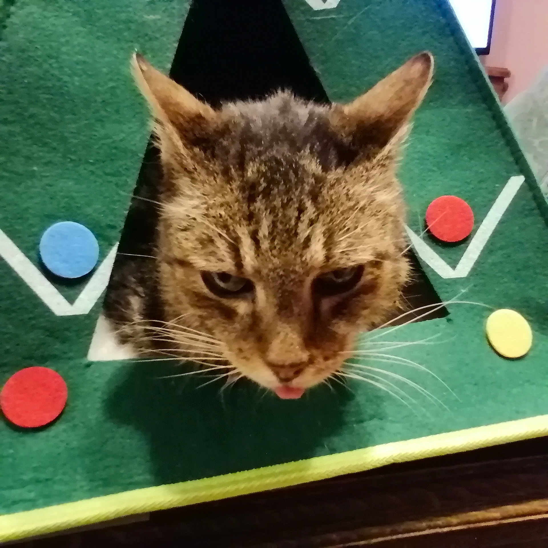 Tigrou
