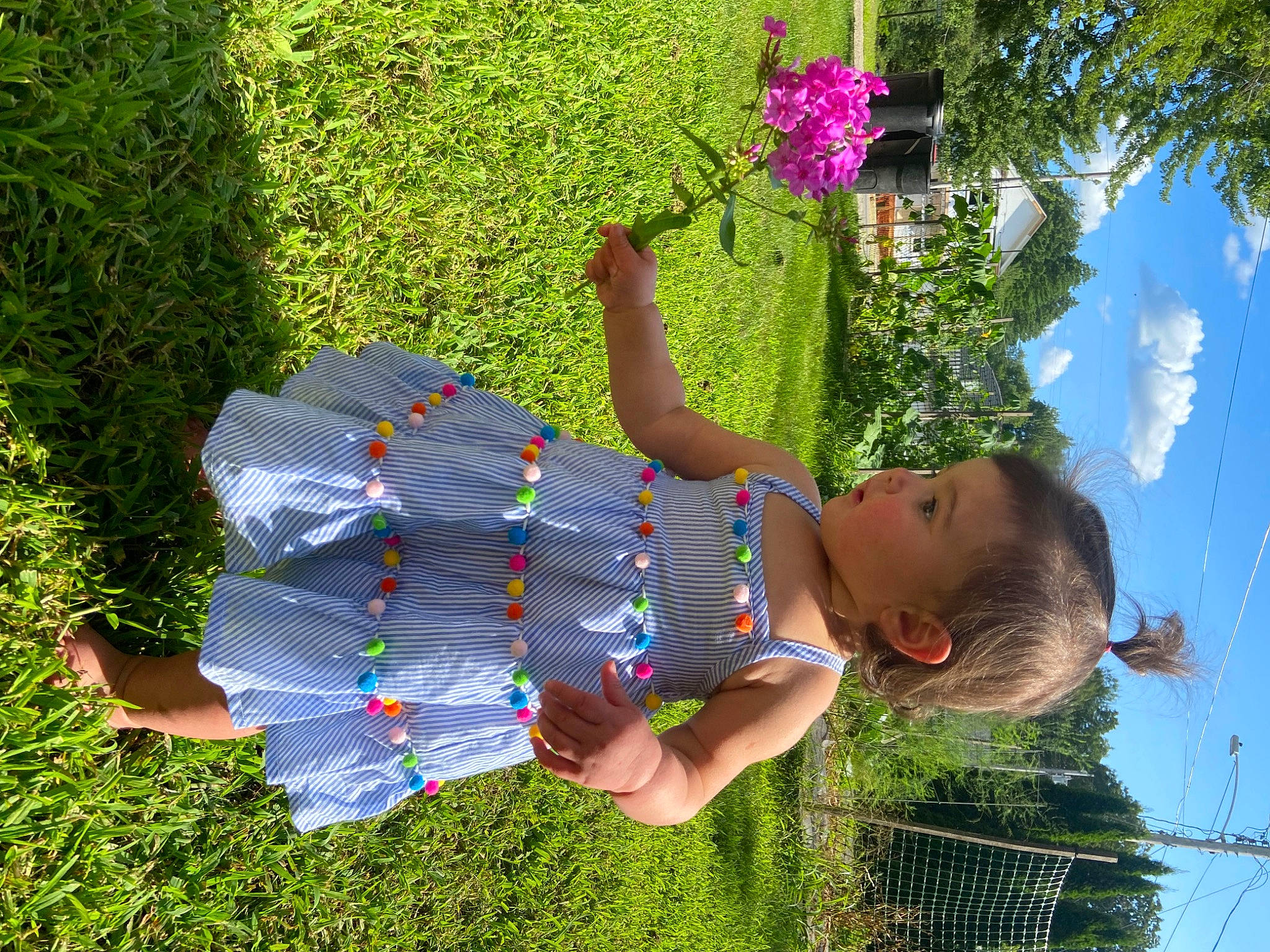 Evelynn joined the competition — help win amazing prizes! cloud, electric_blue, flower, fun, grass, grassland, happy, leisure, meadow, natural_environment, people_in_nature, person, photograph, plant, sky, summer, sunlight, toddler, tree, vegetation