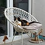 cat, calico_cat, chair, cushion, patio, tile_floor, scratching_post, feather_toy, window, glass_door, indoor, pet, animal, relaxing, resting, furniture, white_chair, calm, domestic_cat, feline