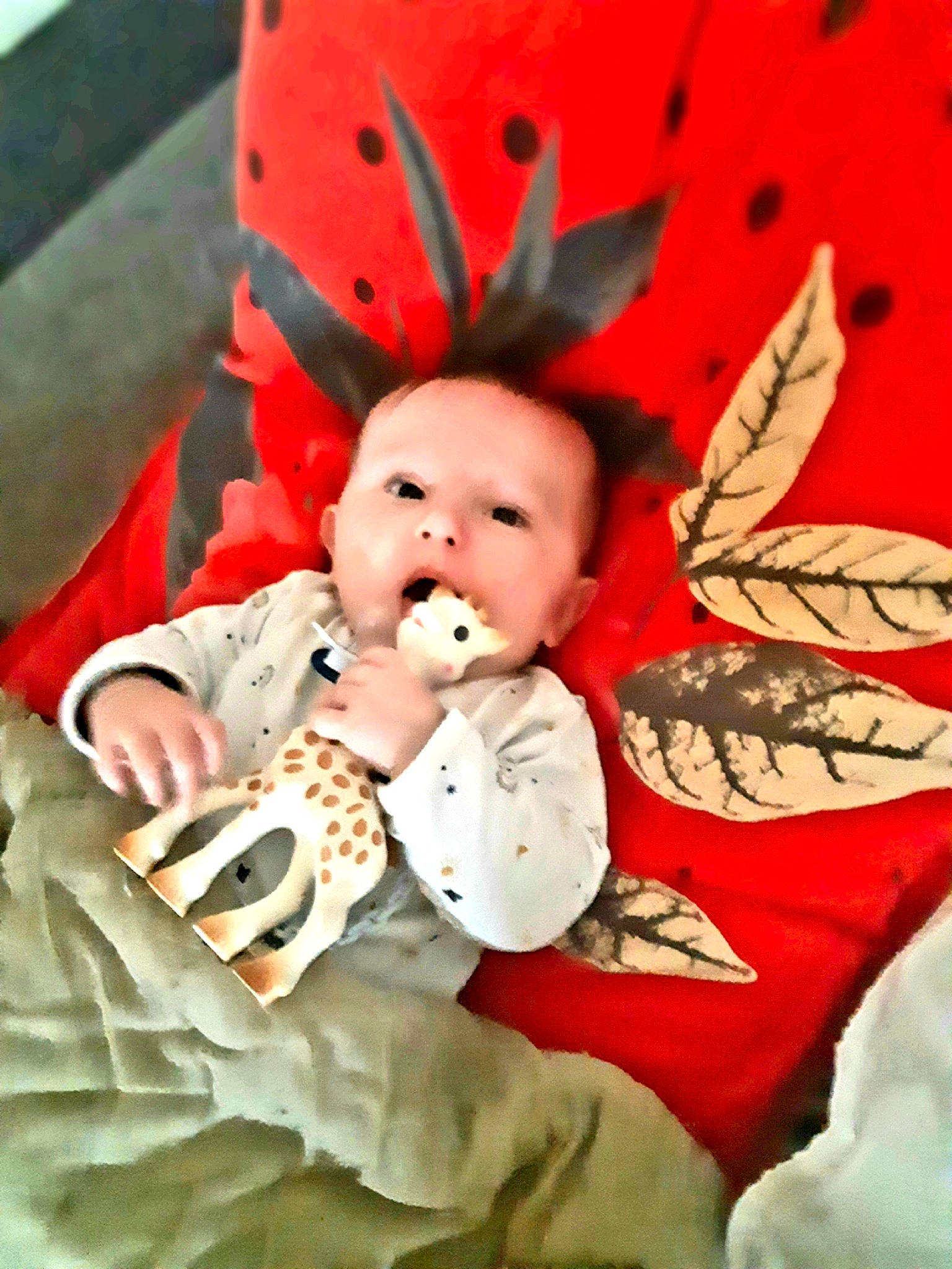 Elyo a rejoint le concours — aidez-le/la à gagner de superbes lots ! baby, baby_products, baby_toddler_clothing, carmine, child, comfort, costume_hat, event, fashion_accessory, fictional_character, happy, head, linens, pattern, peach, person, pollinator, room, textile, toddler