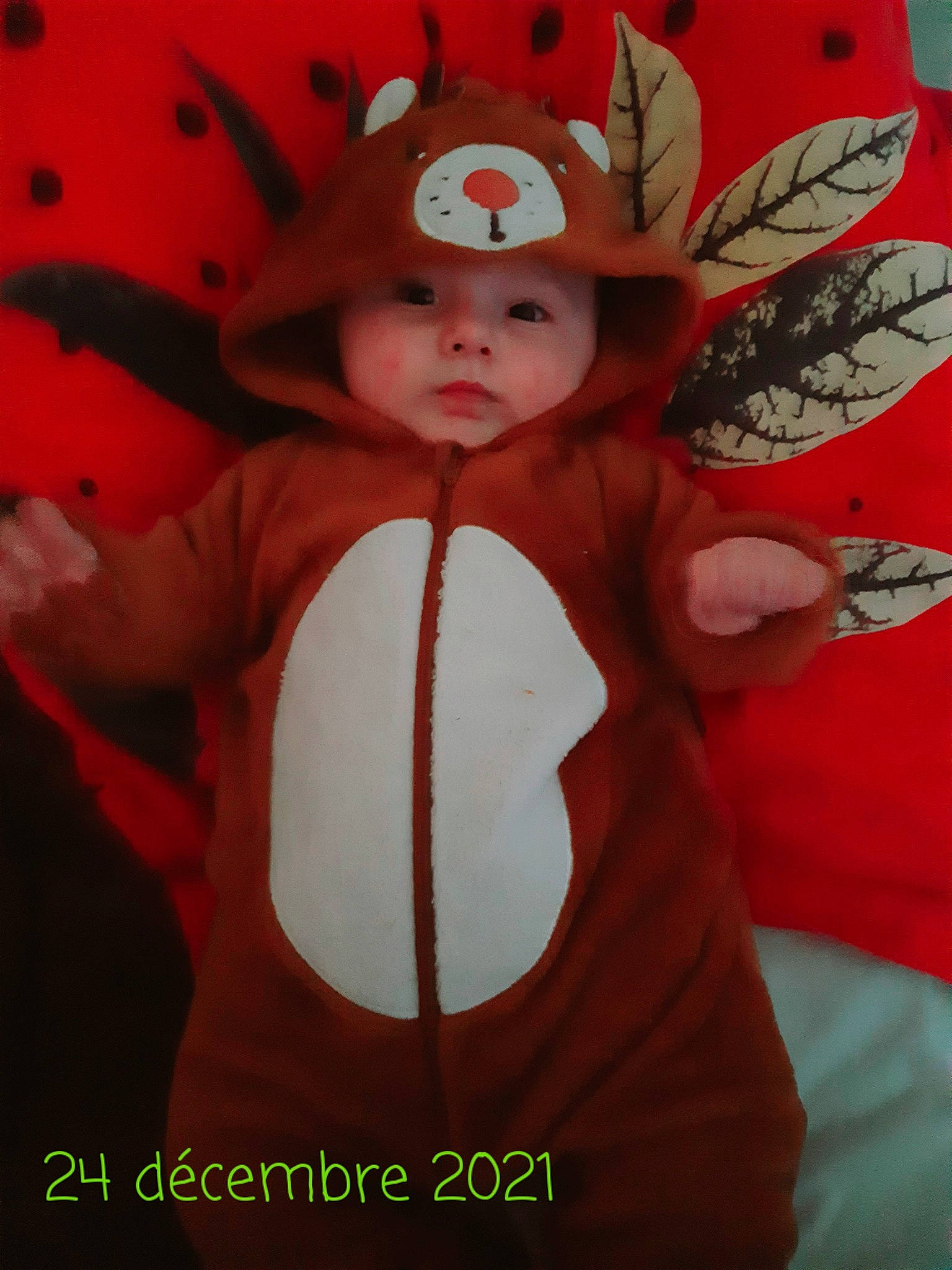 Elyo participe au concours pour gagner de l'argent avec cette photo : angel, baby_toddler_clothing, carmine, costume, costume_hat, doll, event, fashion_accessory, fawn, fictional_character, fur, hat, headgear, headwear, orange, pattern, peach, person, sleeve, stuffed_toy