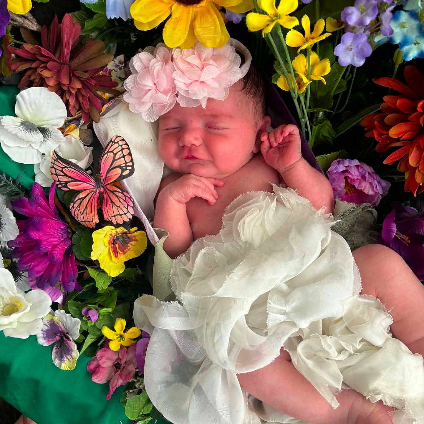 Timburlee joined the competition — help win amazing prizes! baby, newborn, flower_crown, artificial_flowers, floral_arrangement, white_fabric, sleeping, peaceful, closeup, portrait, colorful, pink, yellow, green, purple, orange, butterfly, soft_texture, cocoon, resting