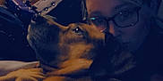Harley joined the competition — help win amazing prizes! dog, person, glasses, indoor, dim_lighting, snuggle, pet, cozy, wood_paneling, window_blinds, couch, brown_dog, portrait, closeup, companion, relaxation, warmth, friendship, comfort, casual