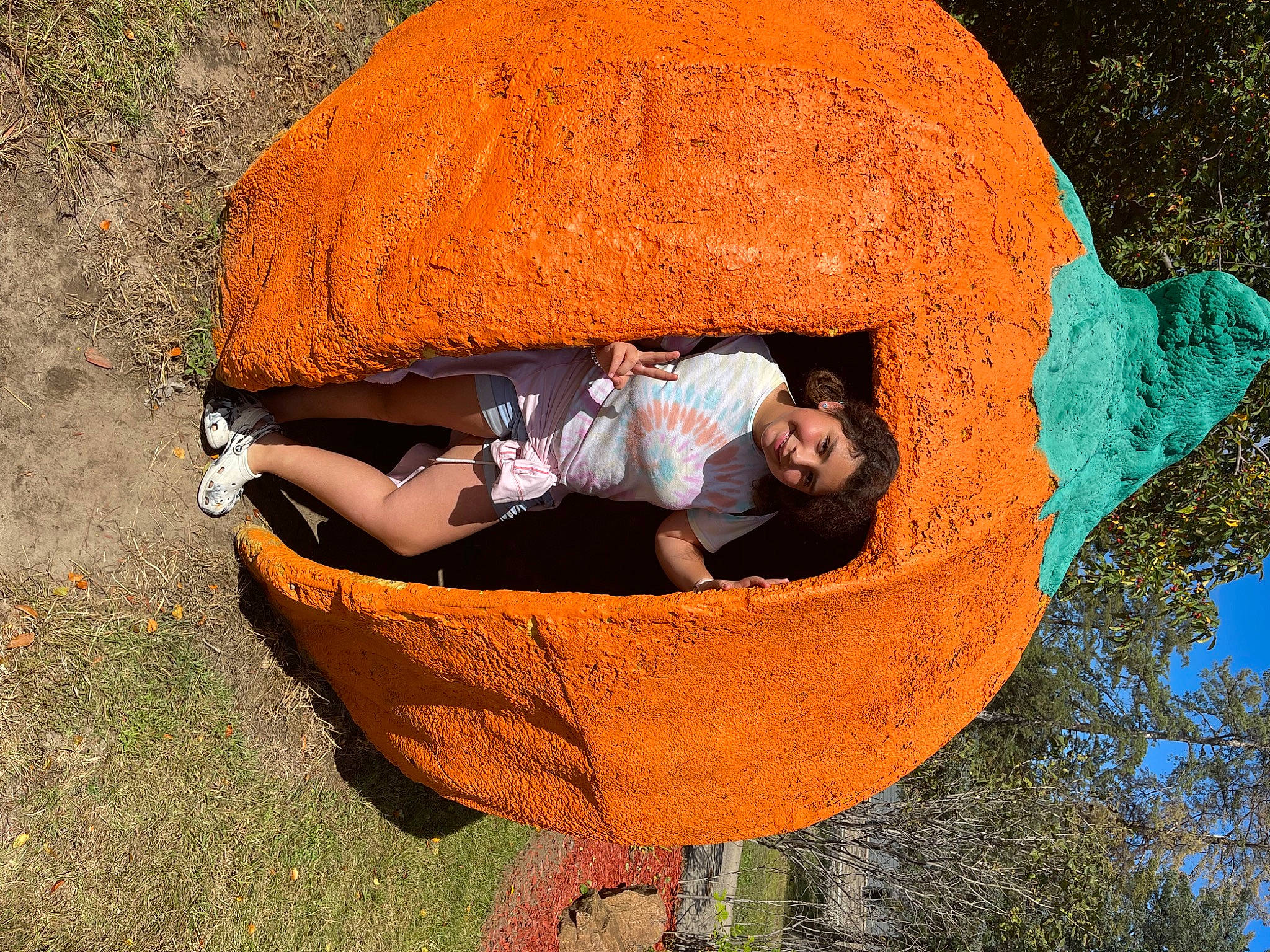 Isabelle joined the competition — help win amazing prizes! baby, child, circle, comfort, fun, grass, joy, landscape, leisure, outdoor_play_equipment, people_in_nature, person, plant, play, recreation, rock, soil, toddler, tree, trunk