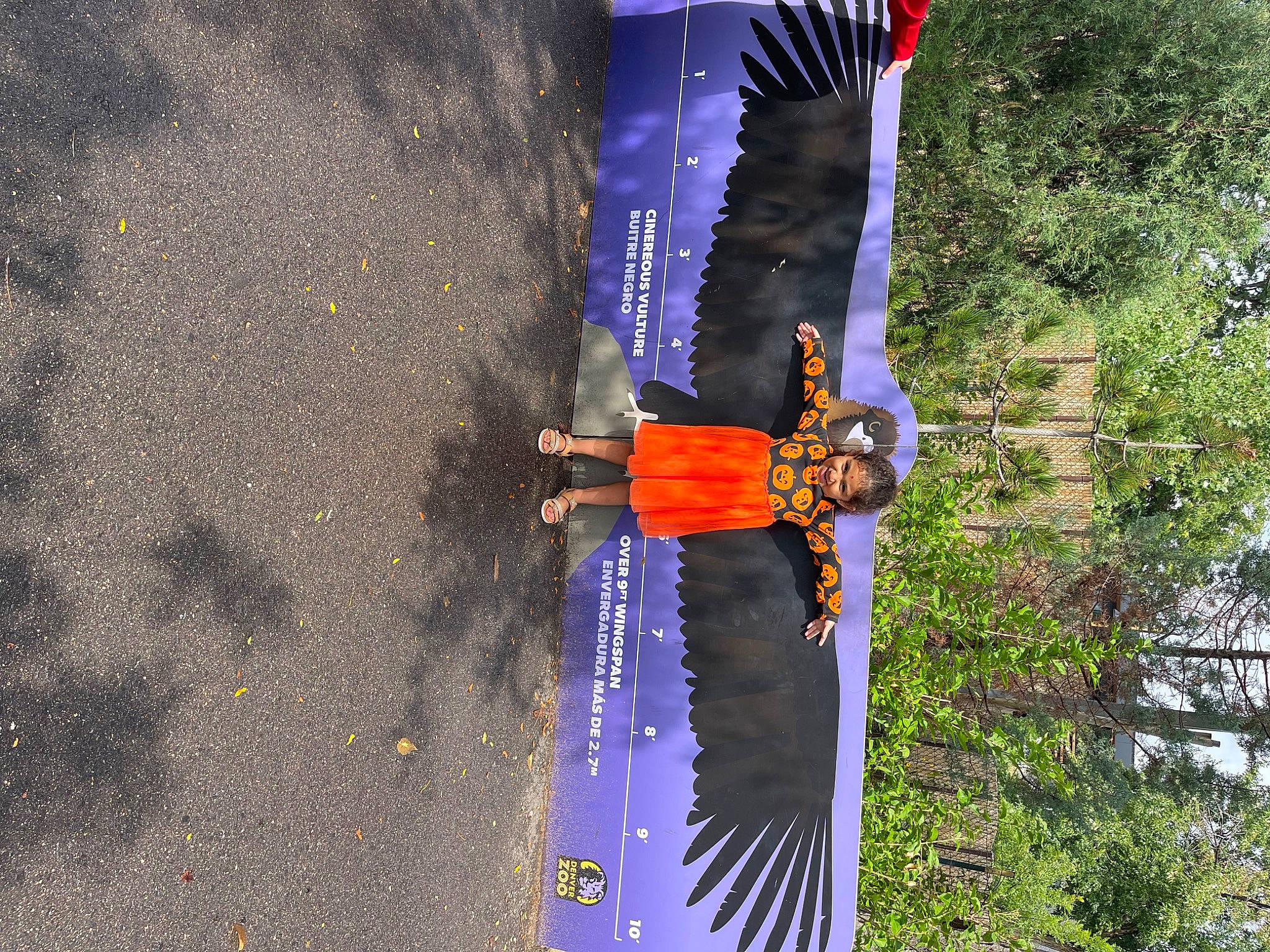 Caremi is registered to the contest to win money with this photo: asphalt, dress, electric_blue, extreme_sport, fun, joy, leisure, person, plant, pole, recreation, road_surface, rope, shadow, soil, tar, toddler, tree, trunk