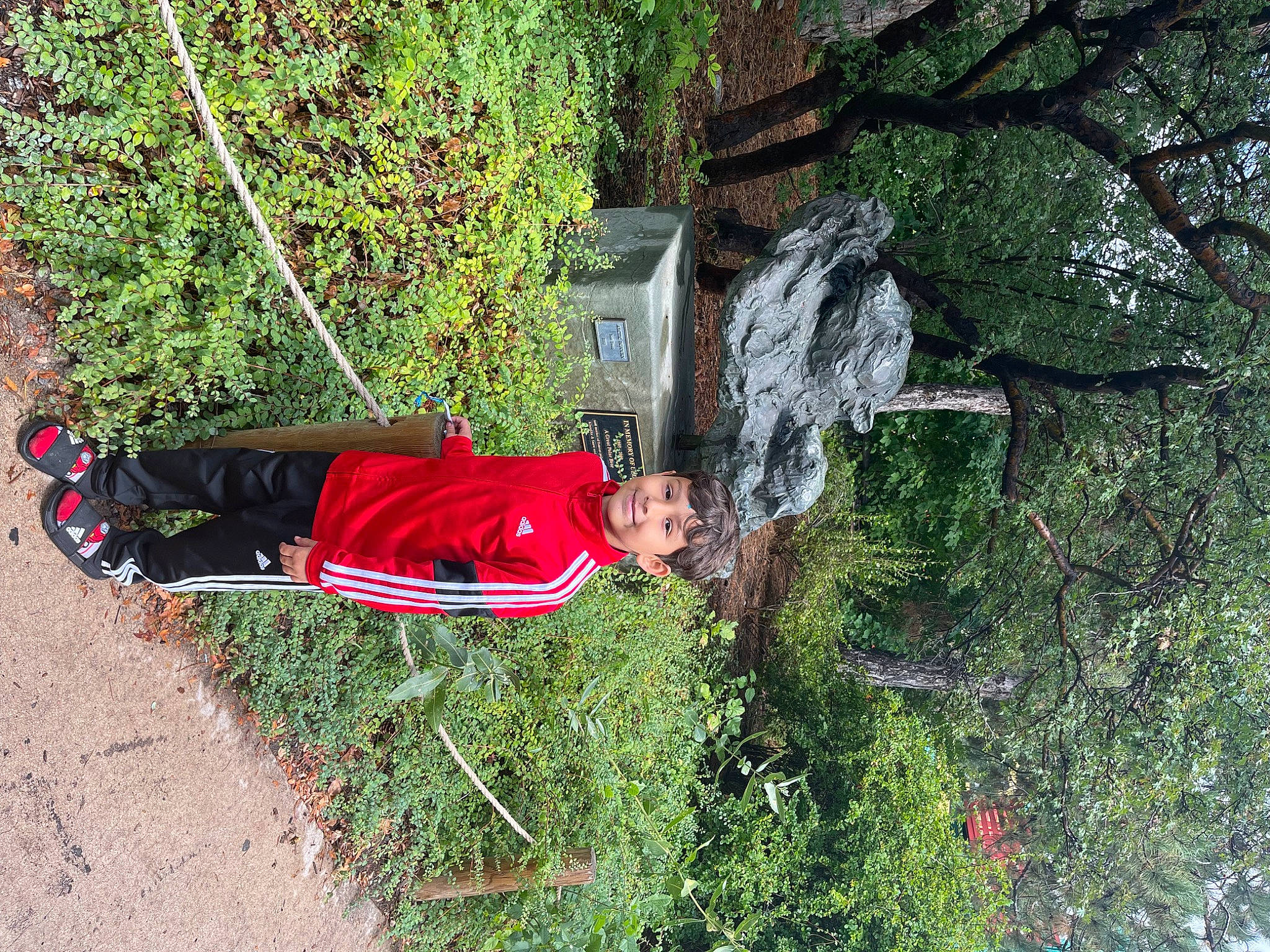 Carlos is registered to the contest to win money with this photo: adventure, fun, garden, grass, groundcover, joy, landscape, leisure, organism, people_in_nature, person, plant, recreation, shrub, sitting, slope, tree, trunk, vegetation, wood