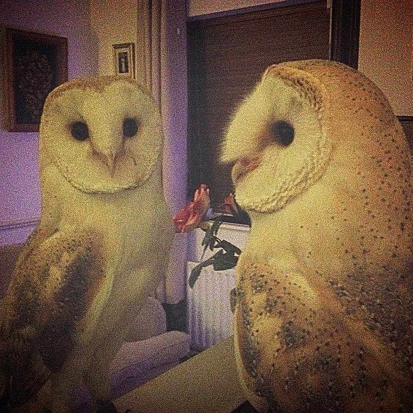 Bee is registered to the contest to win money with this photo: