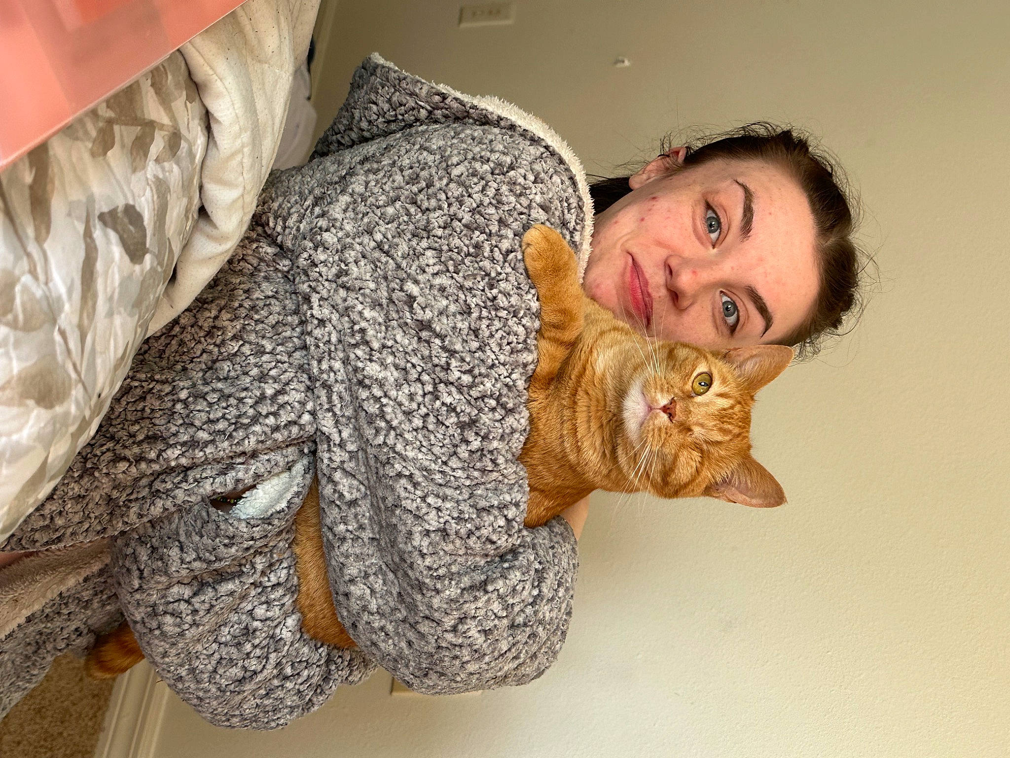 Lena is registered to the contest to win money with this photo: beard, cat, chair, claw, comfort, couch, domestic_short_haired_cat, fawn, felidae, fur, gesture, leg, paw, room, sitting, small_to_medium_sized_cats, snout, tail, toy, whiskers