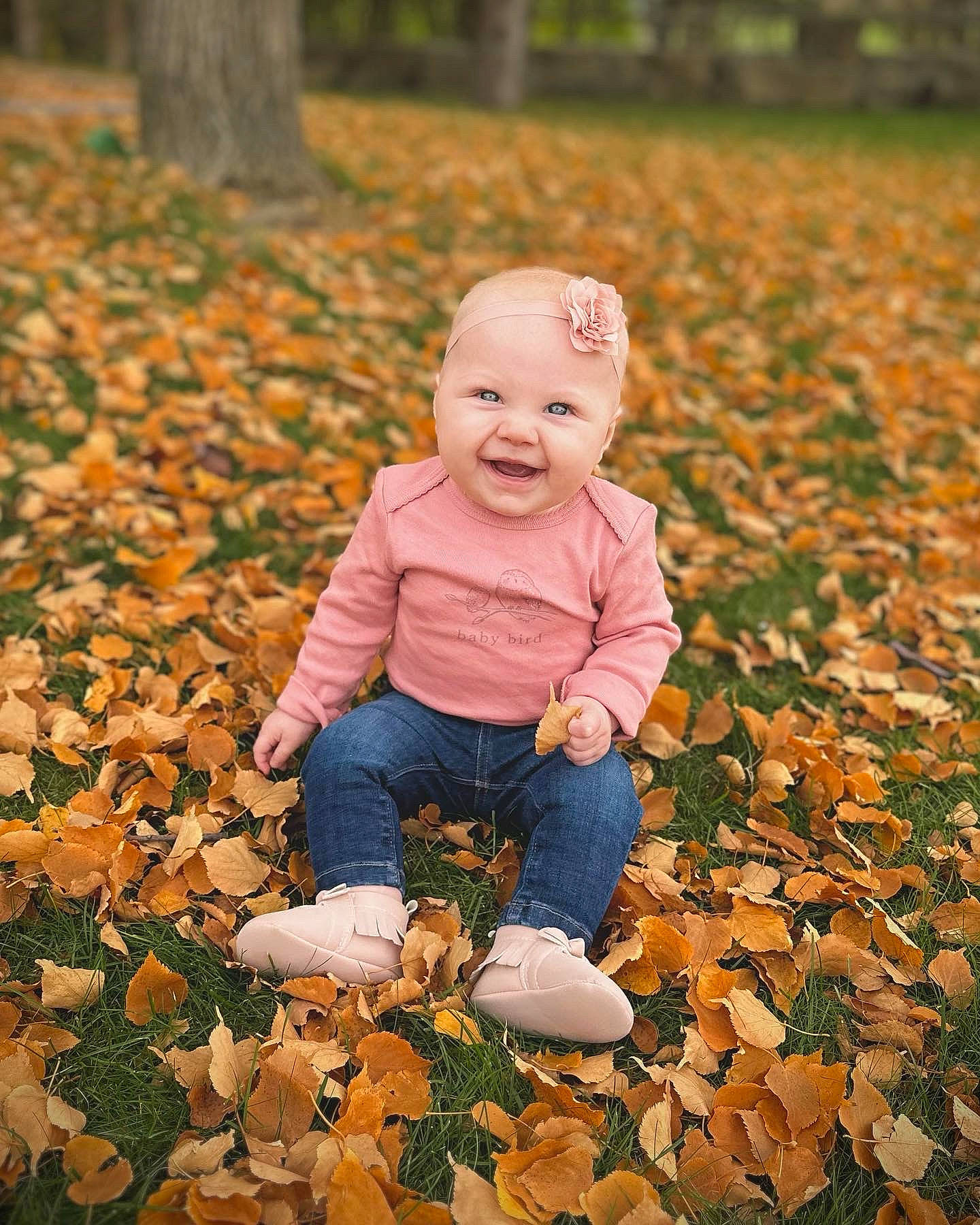 Kora is registered to the contest to win money with this photo: adaptation, baby, baby_toddler_clothing, beauty, botany, deciduous, grass, happy, landscape, leaf, natural_environment, nature, people_in_nature, person, plant, playing_with_kids, smile, sunlight, toddler, tree