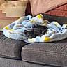 cat, gray_cat, blanket, polka_dot, couch, pillow, throw_blanket, indoor, cozy, resting, pet, furniture, home, living_room, soft_texture, relaxation, animal, comfort, sleepy, cute
