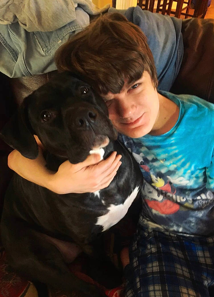 Millie joined the competition — help win amazing prizes! carnivore, comfort, companion_dog, couch, dog, dog_breed, event, fawn, fun, fur, guard_dog, happy, non_sporting_group, pattern, plaid, sitting, sporting_group, t_shirt, tartan, working_animal