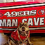 dog, pet, sports_fan, san_francisco_49ers, man_cave, red_jersey, gold_chain, indoor, wooden_floor, banner, smiling_dog, happy, cheerful, brown_dog, large_dog, fan_gear, home_decor, team_spirit, mascot_style, portrait