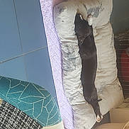 Nero participe au concours pour gagner de l'argent avec cette photo : denim, jeans, linens, room, textile, trousers