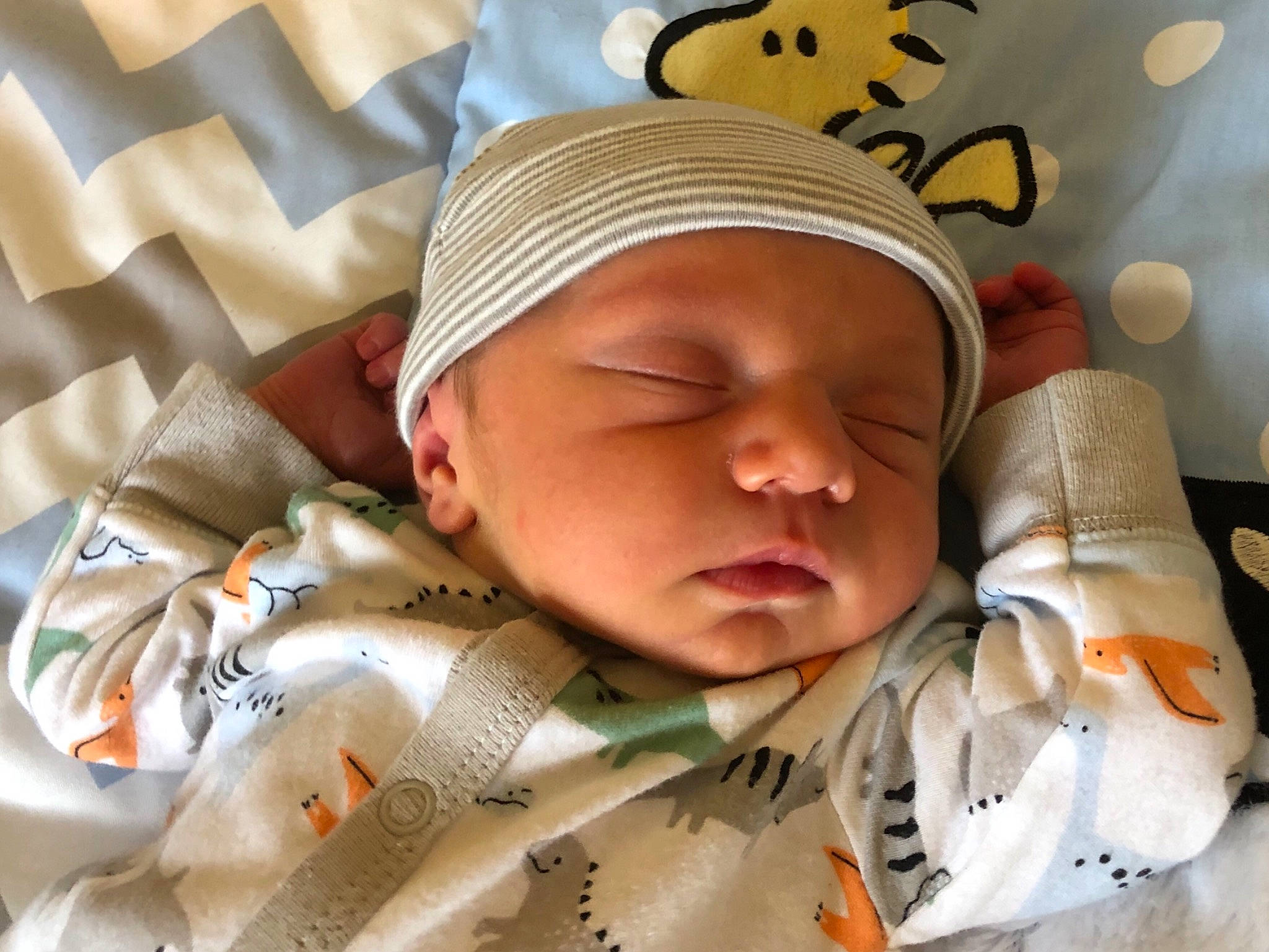 Samson joined the competition — help win amazing prizes! baby, baby_products, baby_sleeping, baby_toddler_clothing, bedtime, carmine, cheek, child, comfort, face, finger, head, headwear, linens, nap, pattern, person, room, skin, sleep