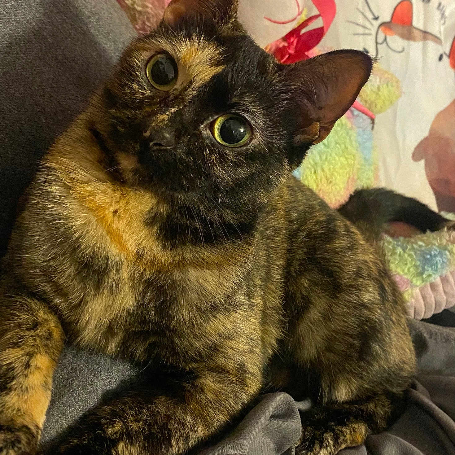 Nugget