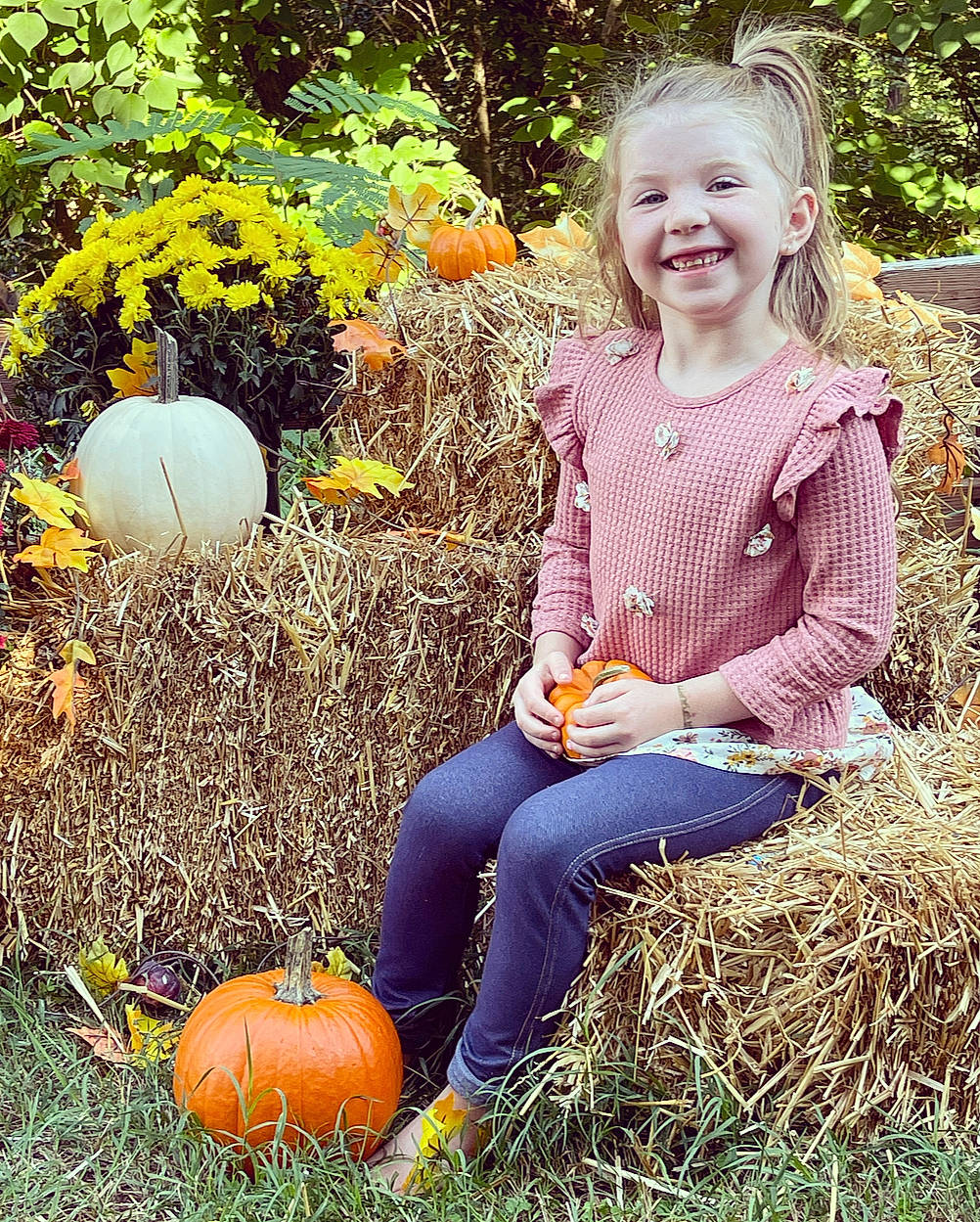 Reilynn joined the competition — help win amazing prizes! botany, calabaza, clothing, cucurbita, gourd, grass, green, hair, happy, jeans, joy, morning, people_in_nature, person, photograph, plant, pumpkin, smile, tree, trousers