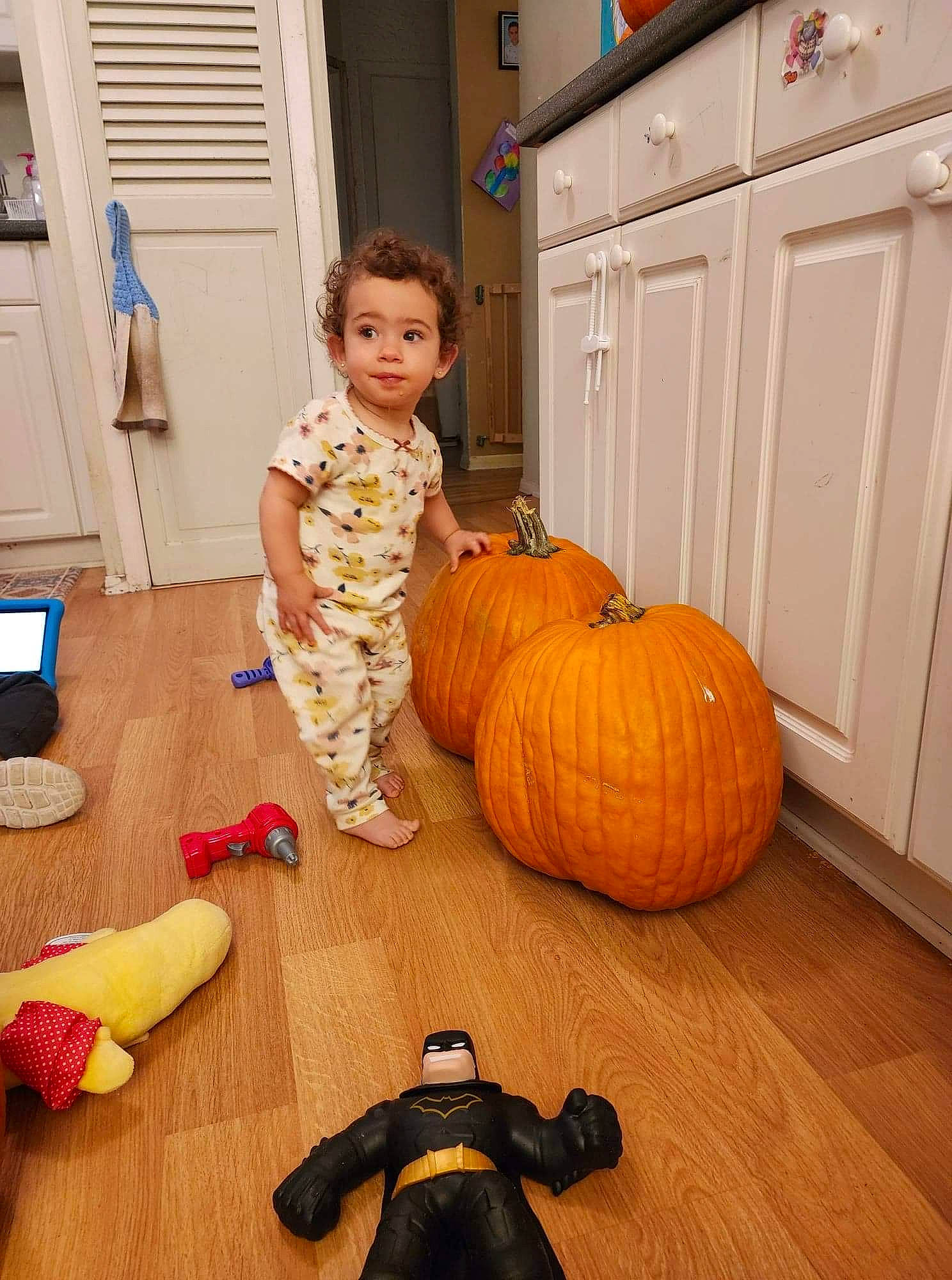 Arianna joined the competition — help win amazing prizes! cabinetry, calabaza, cucurbita, door, floor, flooring, gourd, hardwood, laminate_flooring, leg, natural_foods, orange, person, plant, pumpkin, squash, toddler, vegetable, winter_squash, wood