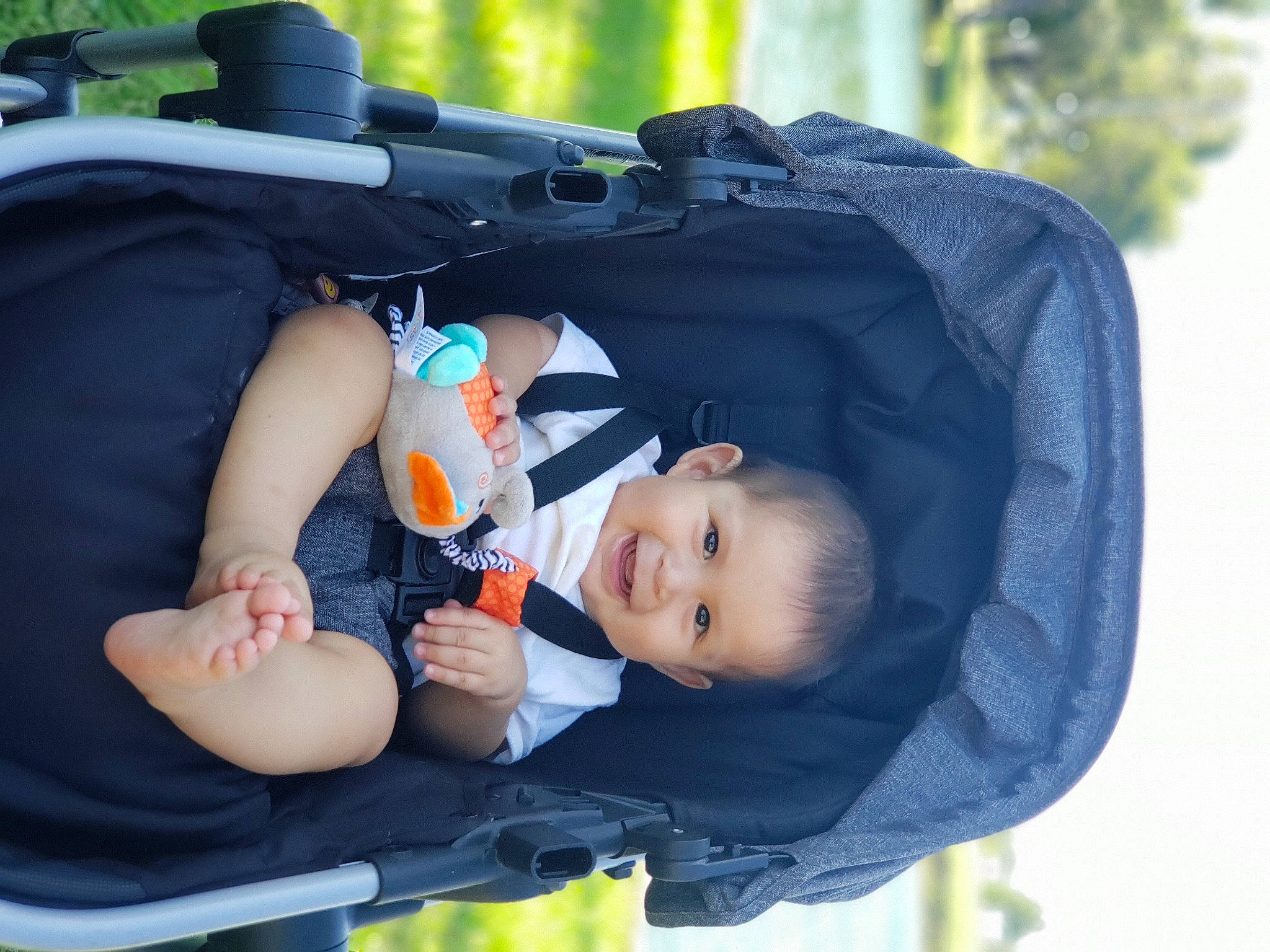 Iker joined the competition — help win amazing prizes! baby, baby_carriage, baby_products, baby_toddler_clothing, beauty, child, comfort, eye, fun, grass, happy, joy, lap, leisure, person, plant, recreation, sitting, smile, toddler