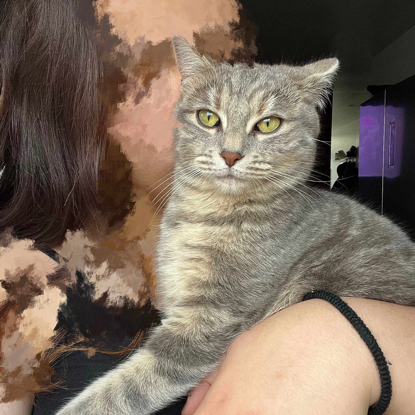 Tospik a rejoint le concours — aidez-le/la à gagner de superbes lots ! animal, arm, black_clothing, bracelet, cat, close_up, companion, domestic_animal, feline, fur, gray_tabby, hand, home, indoor, living_room, person, pet, portrait, relaxed, yellow_eyes