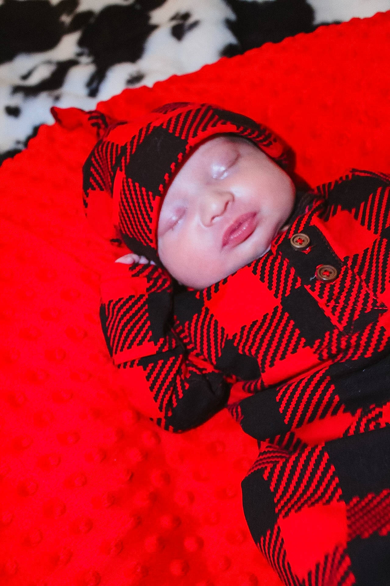 William Oliver Shane is registered to the contest to win money with this photo: carmine, comfort, flash_photography, flooring, font, fur, grass, happy, headwear, magenta, pattern, person, petal, plant, portrait_photography, red, sleeve, tree