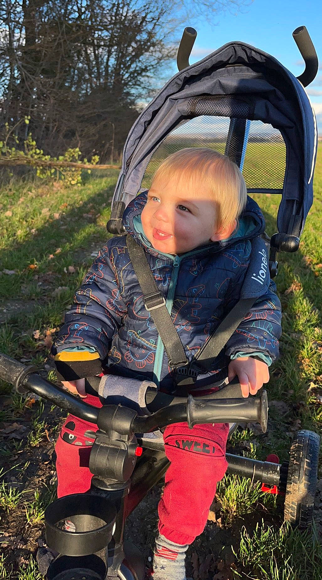 Leo a rejoint le concours — aidez-le/la à gagner de superbes lots ! baby, baby_carriage, baby_products, child, fun, grass, grassland, leaf, people_in_nature, person, personal_protective_equipment, plant, recreation, sitting, smile, soil, spring, tire, toddler, tree