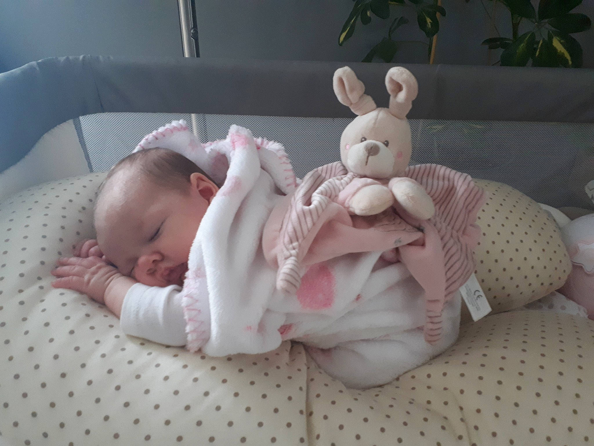 Madyson participe au concours pour gagner de l'argent avec cette photo : baby, baby_products, baby_sleeping, bed, bedtime, birth, child, comfort, ear, fawn, furniture, linens, person, pink, product, room, skin, stuffed_toy, textile, toddler