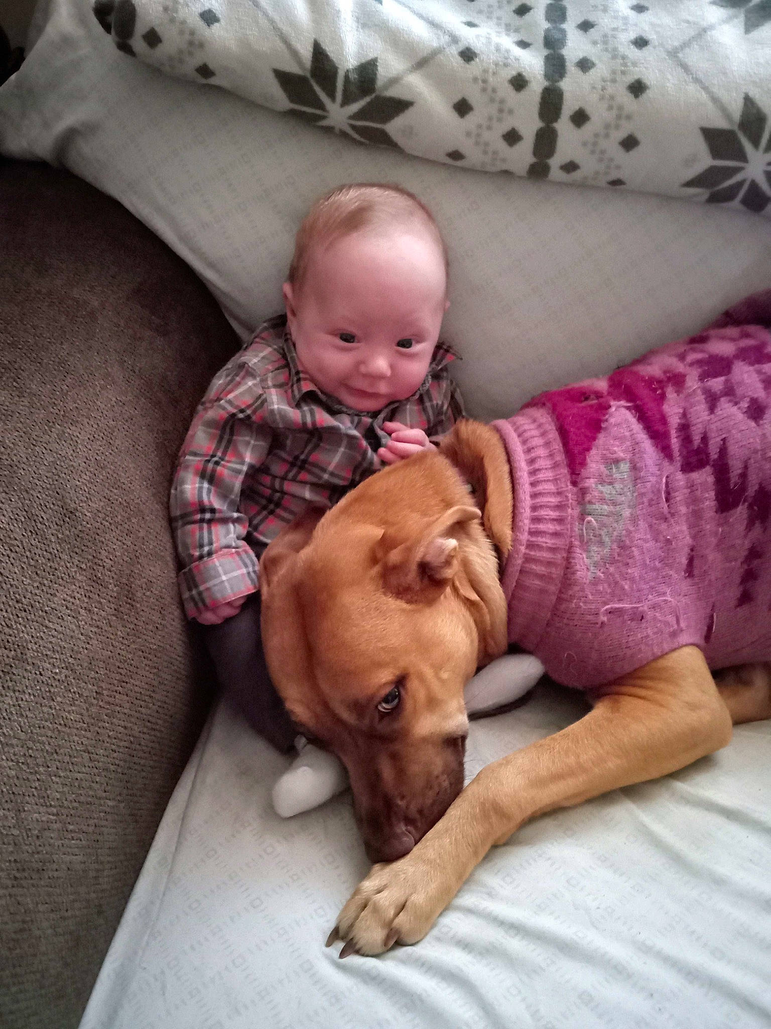Little Gurl is registered to the contest to win money with this photo: baby, baby_toddler_clothing, carnivore, child, comfort, companion_dog, couch, dog, dog_breed, foot, fun, happy, human_leg, knee, lap, linens, sitting, skin, sporting_group, toddler
